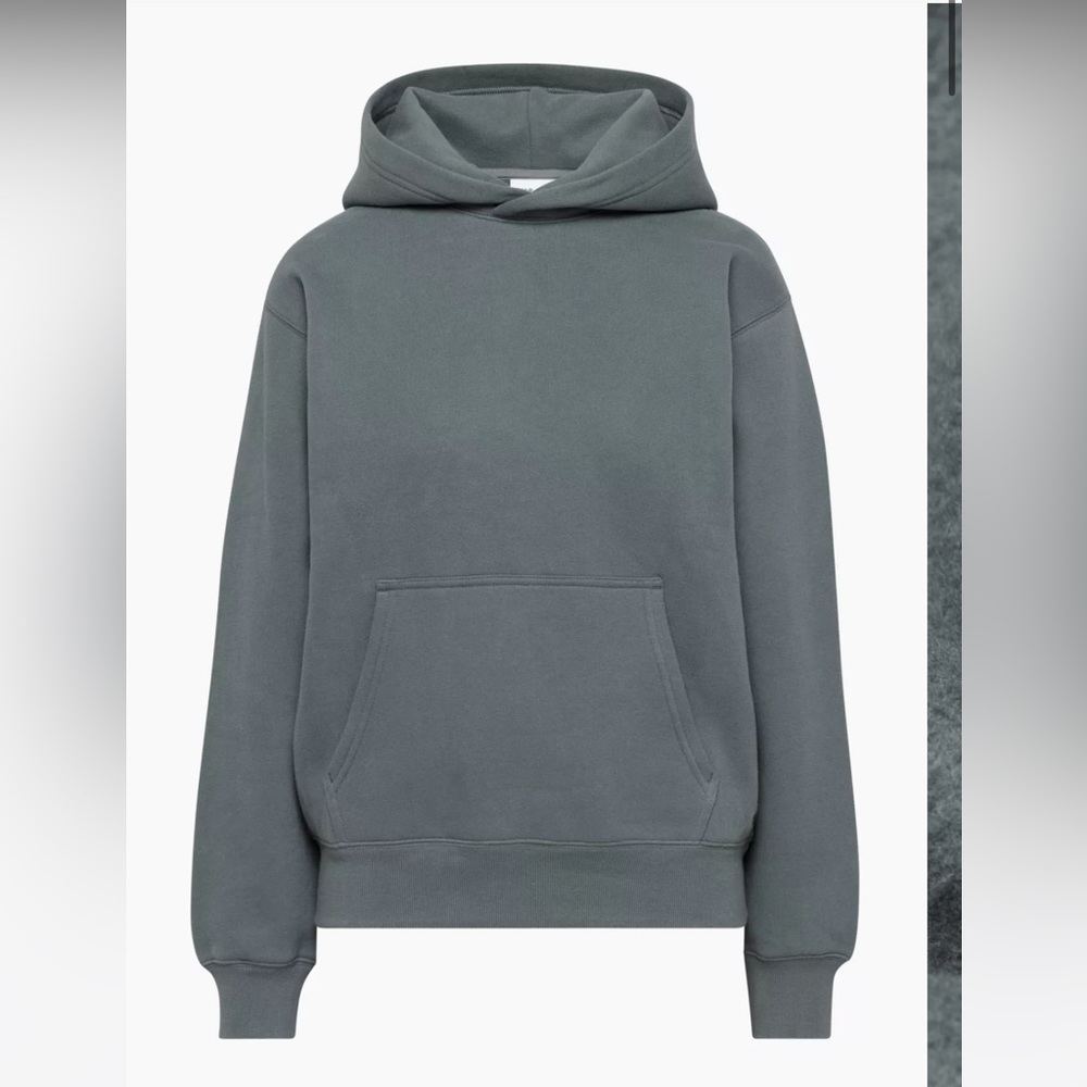 Aritzia cozy fleece perfect hoodie, echo grey xs